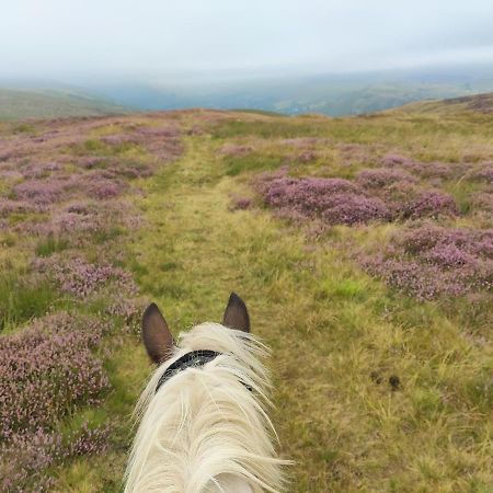 Pentre Riding Stables 호텔 아바크라프 외부 사진