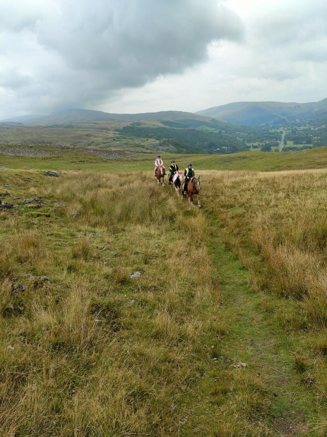 Pentre Riding Stables 호텔 아바크라프 외부 사진