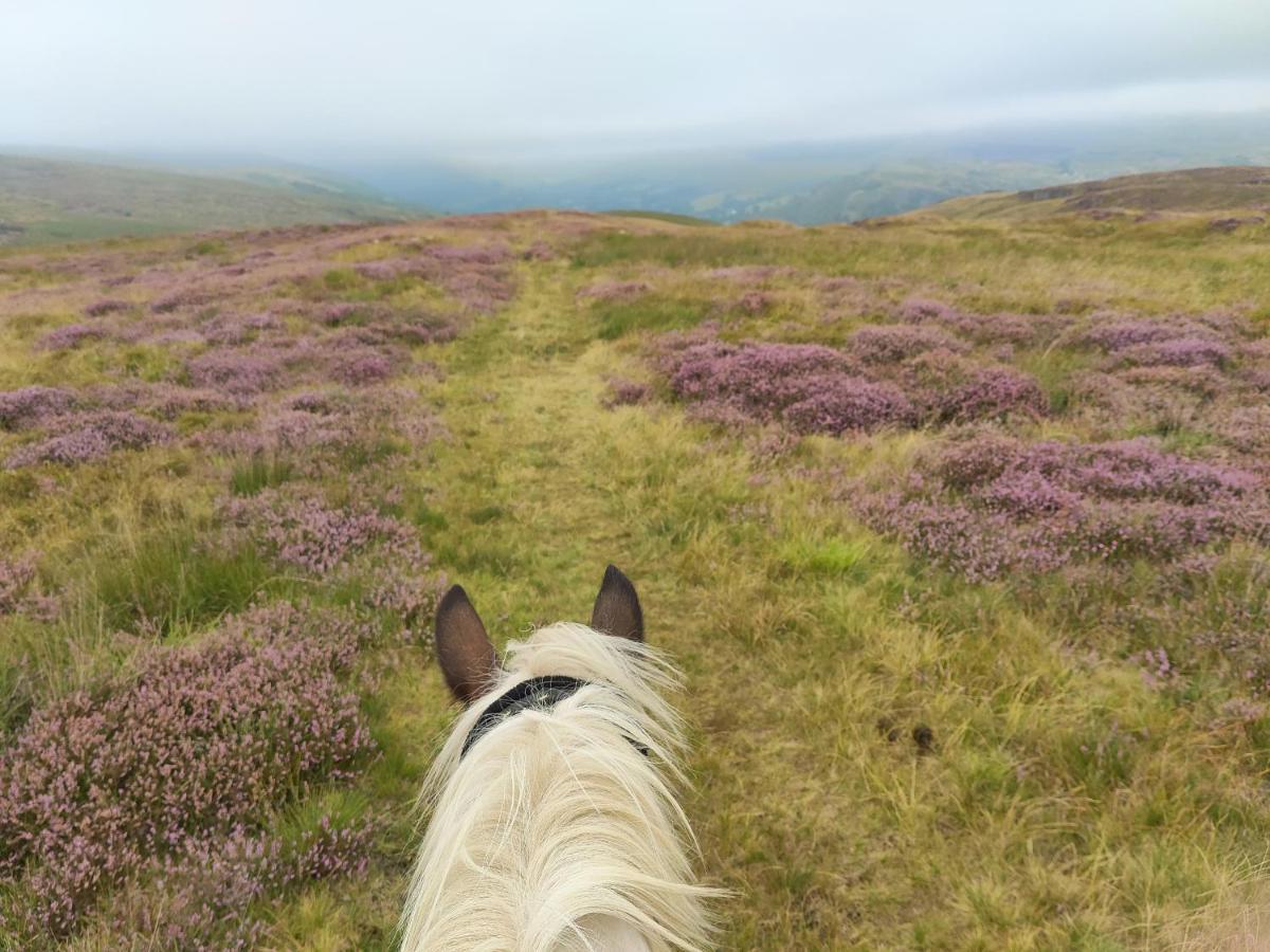 Pentre Riding Stables 호텔 아바크라프 외부 사진