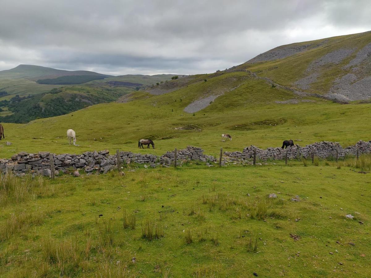 Pentre Riding Stables 호텔 아바크라프 외부 사진