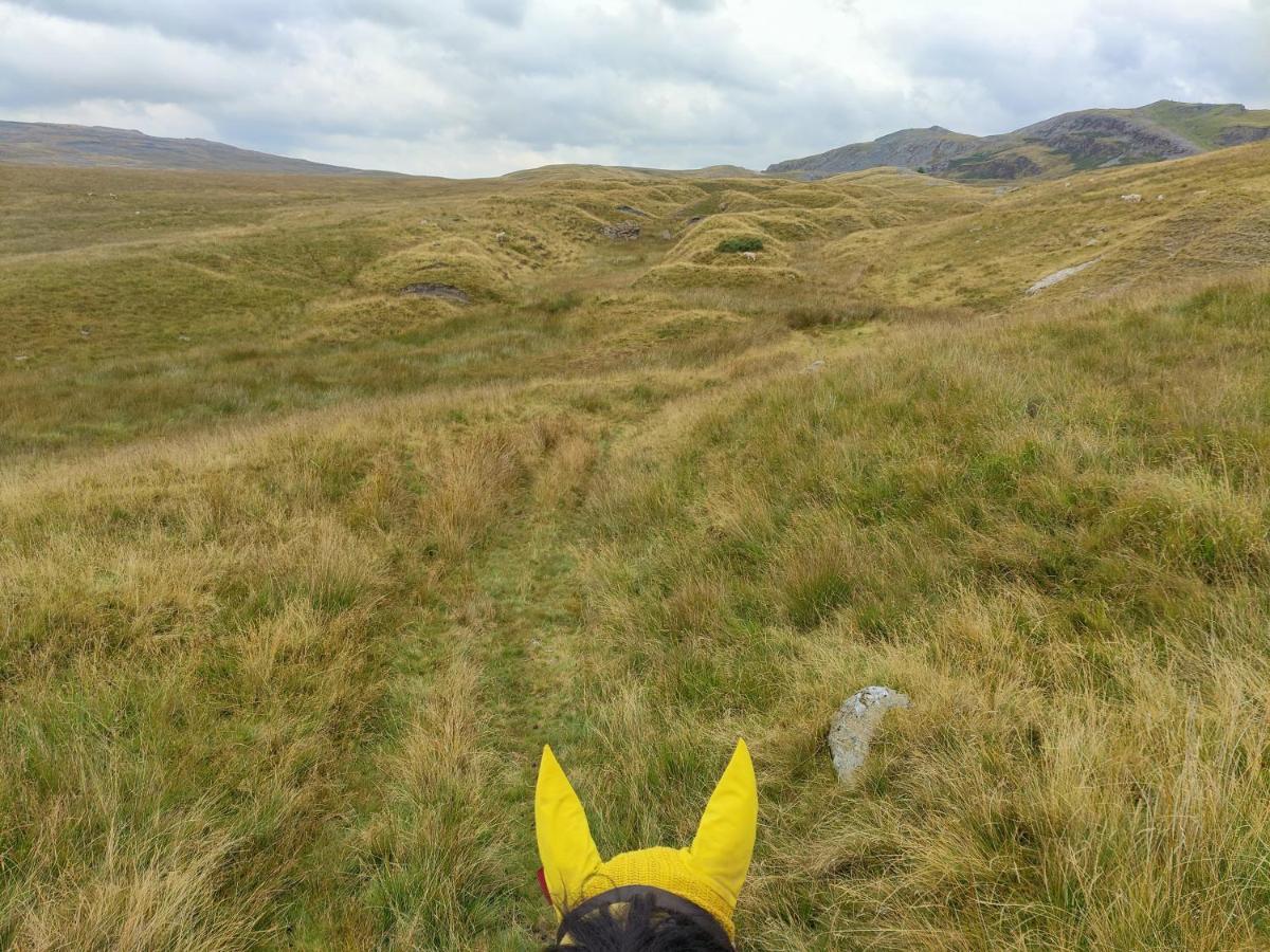 Pentre Riding Stables 호텔 아바크라프 외부 사진