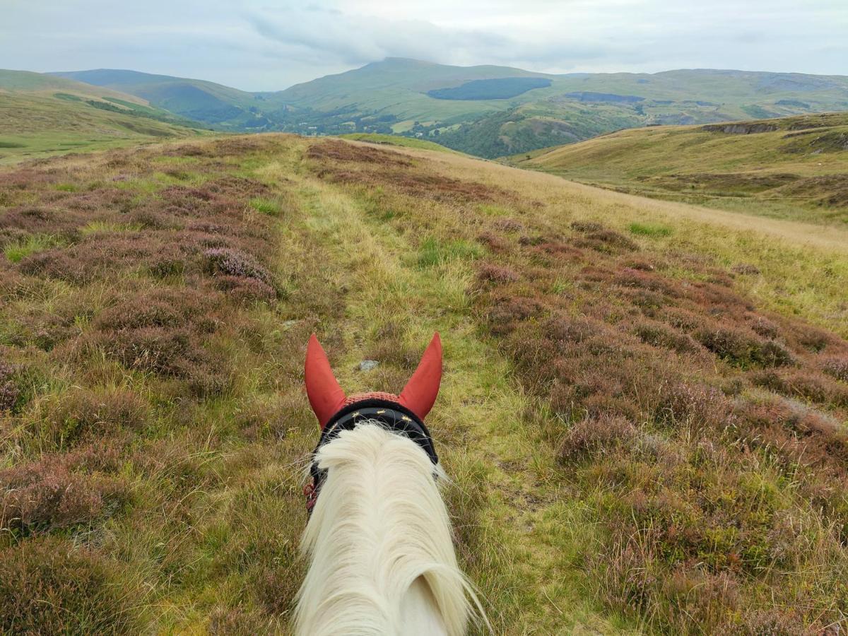 Pentre Riding Stables 호텔 아바크라프 외부 사진